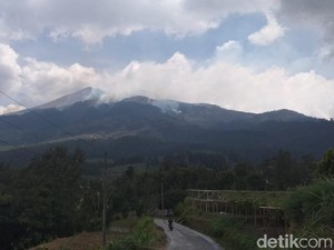 Luas Hutan Gunung Merbabu yang Terbakar Capai 400 Hektare