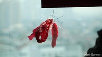 Akhirnya kaca tersebut ditutup plastik oleh staf Wenny.