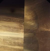 Hasil pemeriksaan terhadap dua peluru yang menembus Gedung DPR.