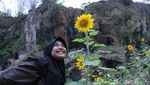 Hamparan Bunga Matahari Cantik di Bandung buat Foto-foto Traveler