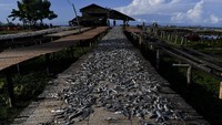 Selain wisata religi, Barus juga memiliki daya tarik wisata baharinya yaitu pantai-pantai yang indah di sekitar kota Barus seperti Pantai Siritis-tiris dan Pantai Kahona. Antara Foto/Sigid Kurniawan.
