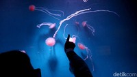 Traveler juga bisa melihat, belajar dan bermain di Jakarta Aquarium. Seluruh koleksi dipamerkan secara interaktif di sini (Agung Pambudhy/detikTravel)