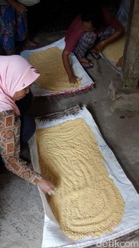 Selain Diracik Jadi Jamu, Temulawak Juga Enak Dibuat Kukis