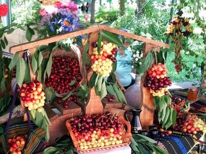 Festival Bubur hingga Panen Buah Cherry, Ini 5 Festival Makanan Unik di Dunia