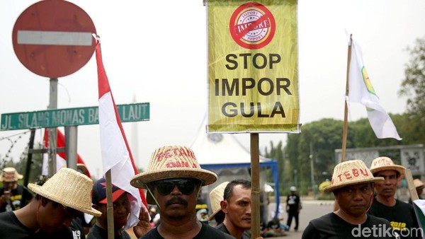 Ratusan Petani Tebu Tuntut Jokowi Hentikan Impor Gula