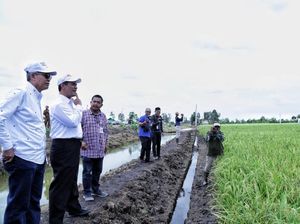 Mentan: Lahan Rawa Obat Paceklik