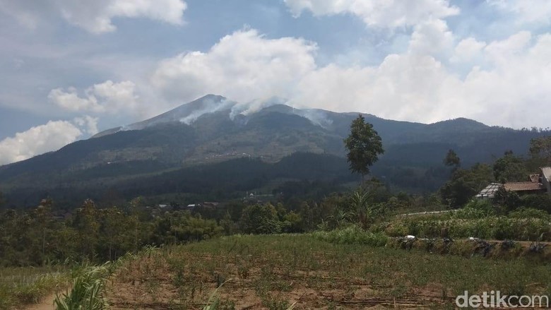 Kebakaran di Gunung Merbabu Meluas hingga Kawasan Boyolali Kebakaran di Gunung Merbabu Meluas hingga Kawasan Boyolali