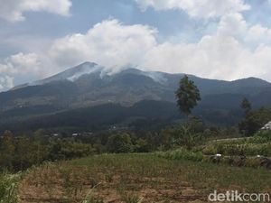 Pipa Air Bersih di 4 Dusun Ini Hangus Akibat Kebakaran di Merbabu