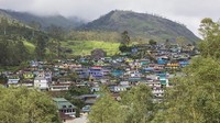 Tahun ini turis yang datang lebih banyak. Resor-resor direnovasi. Bahkan pemerintah mulai melebarkan jalan di sepanjang perbukitan dan semangat warga lokal pun bertambah menyambut turis yang mau melihat bunga ini (Mayank Soni/BBC Travel)