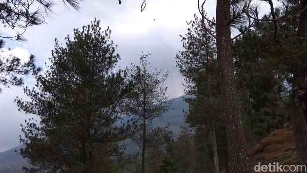 Helikopter Lakukan Pemadaman Kebakaran Merbabu dari Udara
