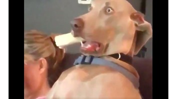 Netizen ini kaget YouTube tumbang dan jadi tidak tahu harus melakukan apa. Foto: istimewa