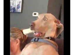 Deretan Meme Kocak YouTube Tumbang