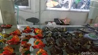 Dulunya ada tiga jenis penyu yang sering dijumpai di Pulau Serangan, yakni penyu sisik, penyu hijau, dan penyu lemang. Namun, seiring berjalannya waktu penyu hijau mulai jarang terlihat di Pulau Serangan (Aditya/detikTravel)
