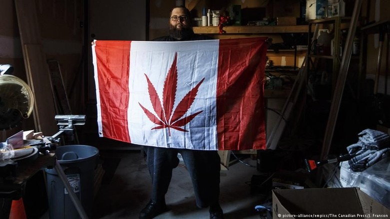 Redam Kejahatan Terorganisir, Kanada Legalisasi Konsumsi Ganja Redam Kejahatan Terorganisir, Kanada Legalisasi Konsumsi Ganja