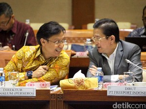 Caplok Saham Freeport, Bos Inalum: Bukan Nasionalisasi