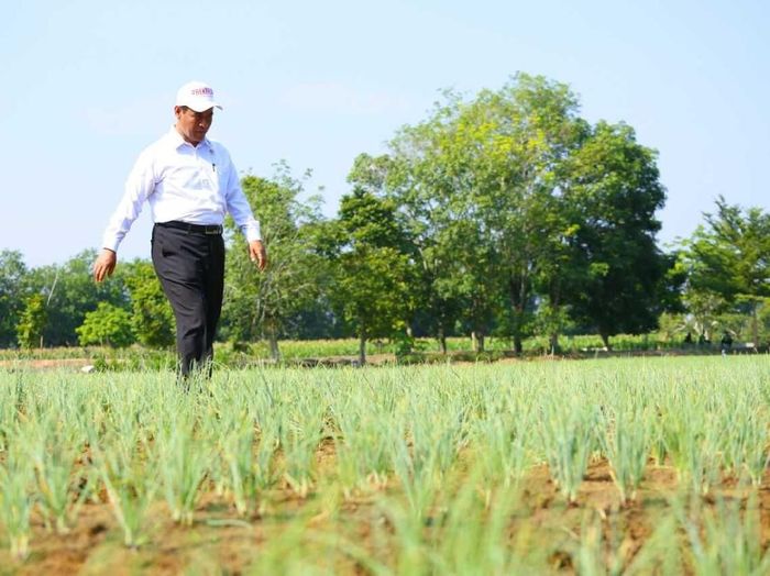 Foto: Dok Kementan Foto: Dok Kementan