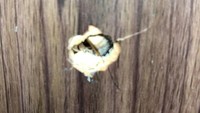 Peluru di ruangan Vivi ditemukan nyangkut di lemari (Dok Istimewa).