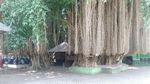 Foto: Tradisi Unik Ziarah Makam Loang Baloq