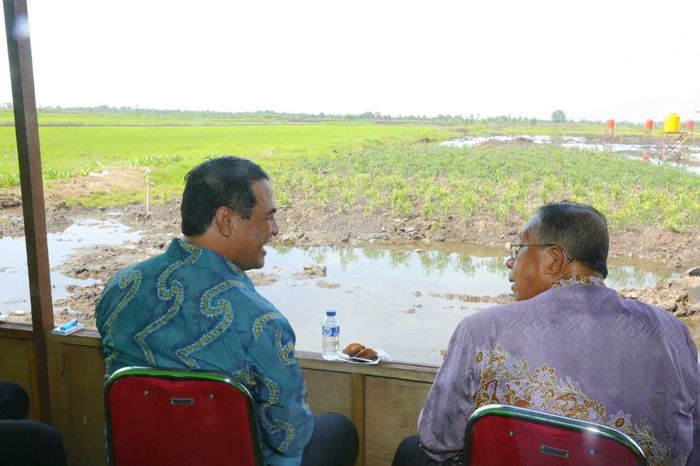Foto: kementan Foto: kementan