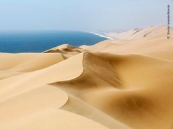 Karya Jawara Wildlife Photographer 2018 yang Bikin Mata Terpukau