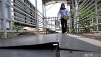 Begini penampakan terkini kondisi JPO Jembatan Gantung di Daan Mogot, Jakarta Barat, Kamis (18/10/2018).
