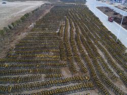 Pemandangan Mencengangkan Puluhan Ribu Sepeda Online