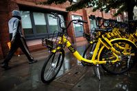 sepeda city bike ofo