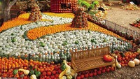 Tiap tahun mereka mengadakan festival Autumn at the Arboretum dengan salah satu pertunjukkan andalannya, Dallas Pumpkin Village. Sekitar 100.000 labu disusun hingga menciptakan pemandangan magis. Foto: Dallas Arboretum