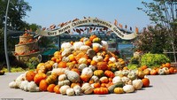 Desa labu (pumpkin village) ini bisa ditemui di Dallas Arboretum and Botanical Gardens, Texas, Amerika Serikat. Foto: Dallas Arboretum