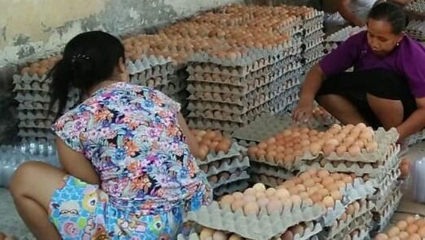 Pedagang telur ayam