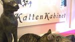 Foto: Meong! Inilah Museum Serba Kucing