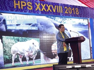 Wujudkan Lumbung Pangan Dunia, RI Fokus Optimalkan Lahan Rawa