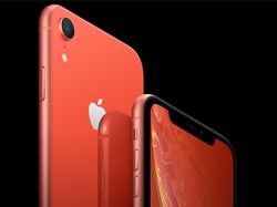 Fakta-fakta iPhone XR Jelang Dibukanya Pre-order