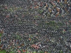 Kuburan Jutaan Sepeda, Masih Bagus Tapi Dibuang