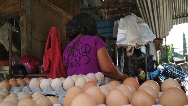 Pedagang telur ayam