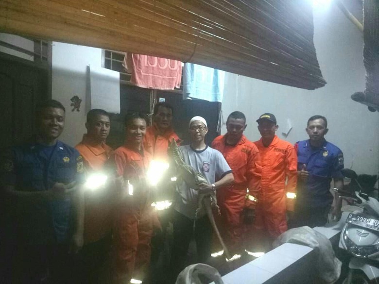 Damkar Tangkap Biawak yang Bikin Panik Warga Pasar Minggu Damkar Tangkap Biawak yang Bikin Panik Warga Pasar Minggu