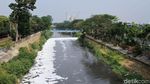 Ciliwung Berbusa Gara-gara Pertemuan Air Olahan