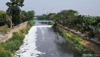 Air-air hasil pengolahan di waduk ini pun dinilai bersih, hanya saja ketika bercampur dengan aliran Ciliwung menjadi berbusa.