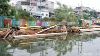 Seperti taman yang tadinya cantik kini harus bertumpukan dengan akar pohon bekas dan beton.