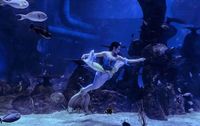 Selain Melihat Ikan, Ini Keseruan Lain di Jakarta Aquarium
