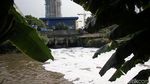 Ciliwung Berbusa Gara-gara Pertemuan Air Olahan