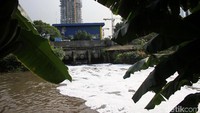 Busa yang ditimbulkan ini tidak menimbulkan bau.