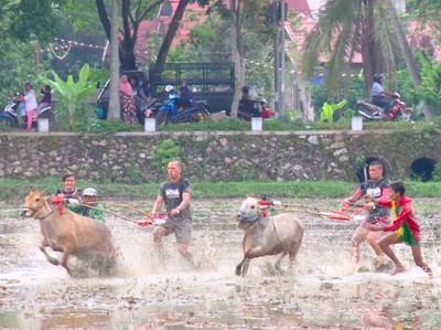 Petualangan Seru My Trip My Adventure di Sumatera Barat Petualangan Seru My Trip My Adventure di Sumatera Barat