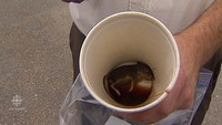 Bayangkan apa yang Anda akan lakukan jika menemukan bangkai tikus, di kopi yang baru saja Anda beli dari gerai restoran cepat saji? Dijamin bikin mual. Foto: Istimewa