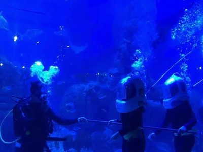 Selain Melihat Ikan, Ini Keseruan Lain di Jakarta Aquarium Selain Melihat Ikan, Ini Keseruan Lain di Jakarta Aquarium