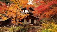 Selain itu, ada Taman Sankeien dengan pepohonan oranye dan kuning yang cantik dipandang (dok. Prefektur Kanagawa)