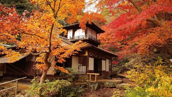 Foto Musim Gugur di Jepang, Jadi Ingin Liburan ke Kanagawa