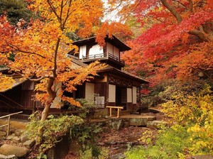 Musim Gugur di Kanagawa Jepang, Ini Aktivitas Serunya