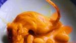 10 Temuan Menjijikkan Dalam Makanan Ini, Dijamin Bikin Nafsu Makan Hilang