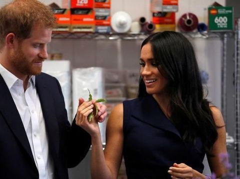 Ini Kebiasan Meghan Markle Dari Pagi Sampai Malam Hari 